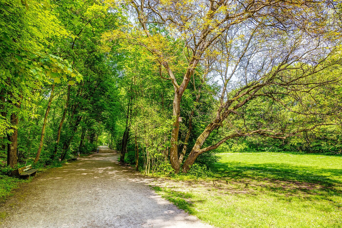 Apartment with 2.5 room | München-Sendling | 70067 | Vom Sendlinger Park aus...