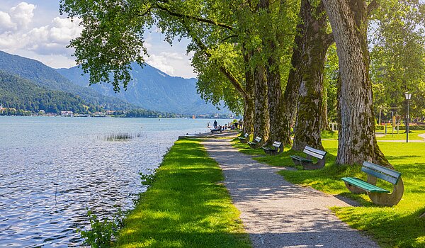 Special property with 15 room | Bad Wiessee | 701591 | Seepromenade Bad Wiessee