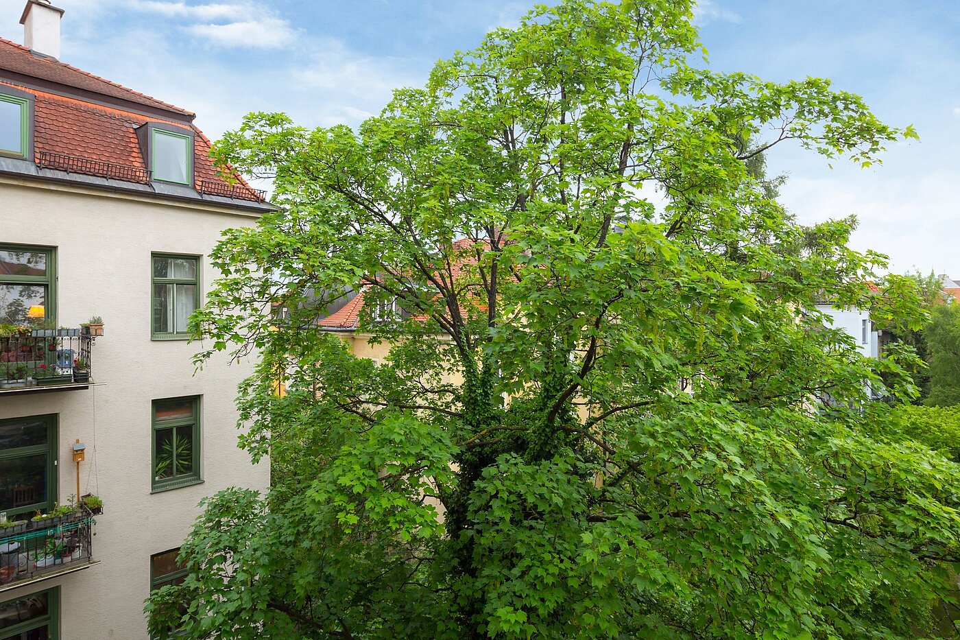 Apartment with 1 room | München-Nymphenburg | 2102ML7 | Sommerliche Aussichten...