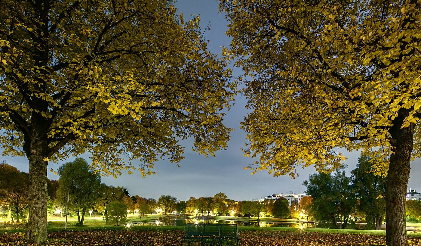 Apartment with 1 room | München-Sendling-Westpark | 2008ML1 | Abenddämmerung im Westpark