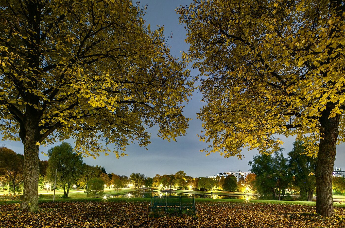 Apartment with 1 room | München-Sendling-Westpark | 2008ML1 | Abenddämmerung im Westpark