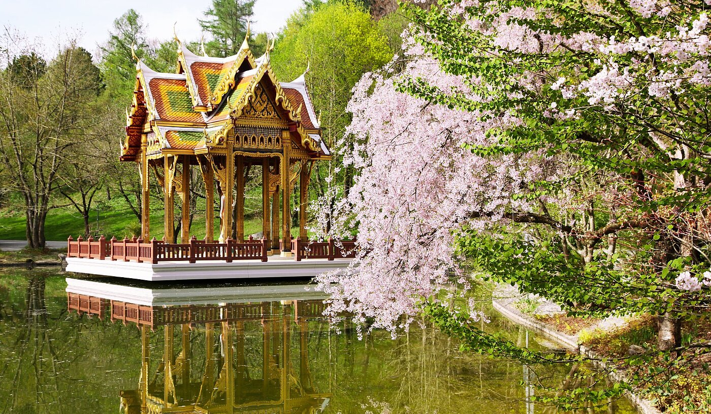 Apartment with 1 room | München-Sendling-Westpark | 2008ML1 | Japanischer Garten