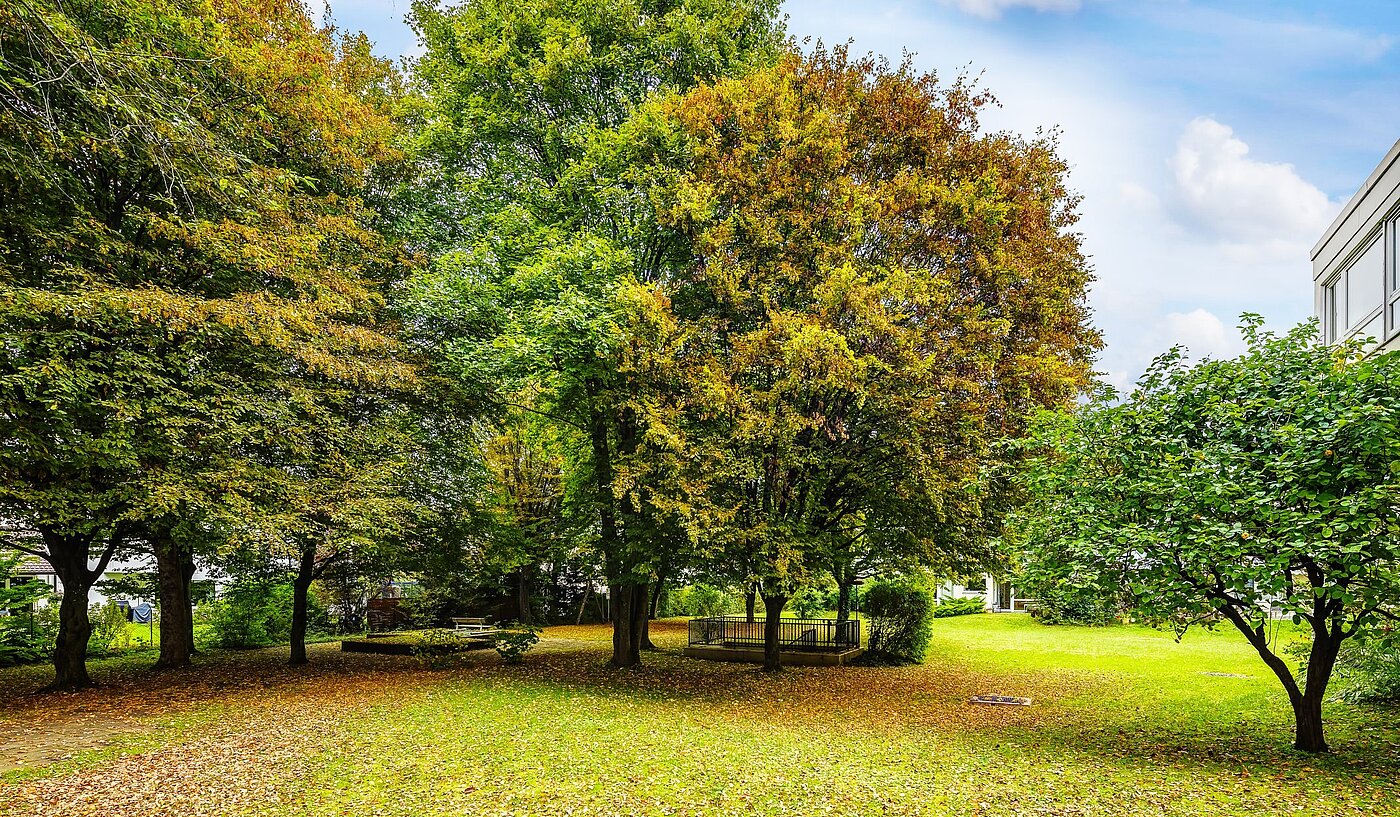 Apartment with 1 room | München-Solln | 2109ML4 | Viel Grün um´s Haus...