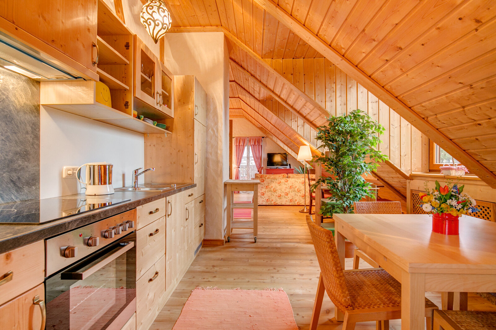 Generous 1-room apartment in country house style - Photo 4
