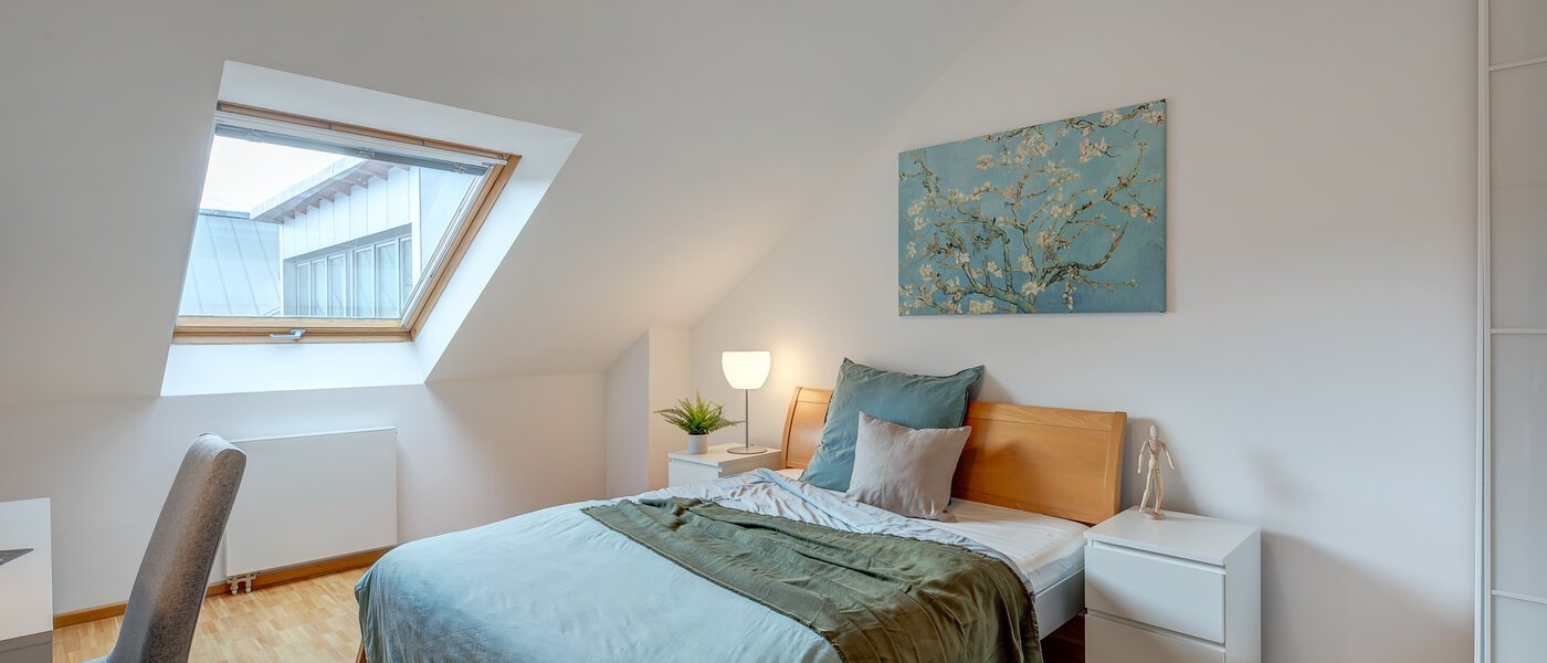 roof terrace apartment München Maxvorstadt - Museumsviertel 01 1. bedroom 1