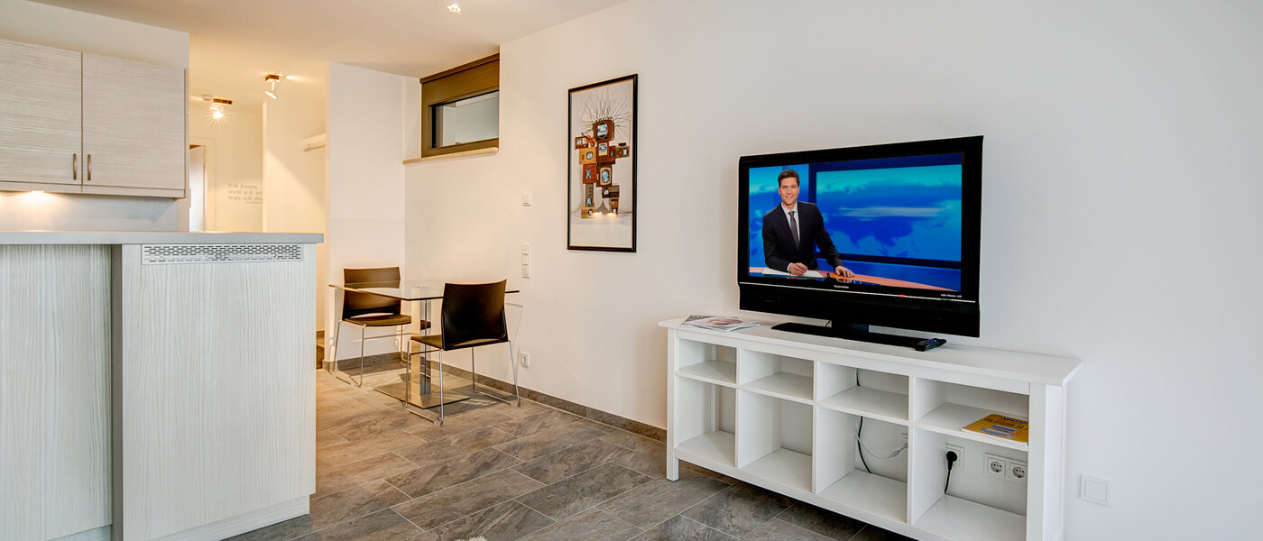 apartment München Lehel 03 living room 10017