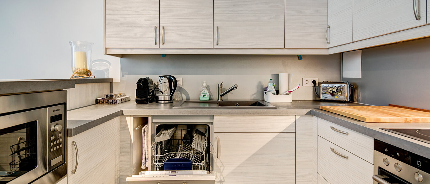 apartment München Lehel 02 kitchen 10017