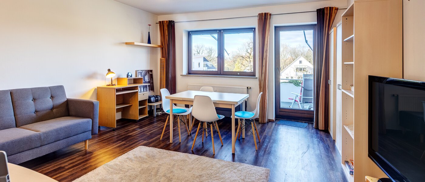 apartment München Pasing 02 living room 10073
