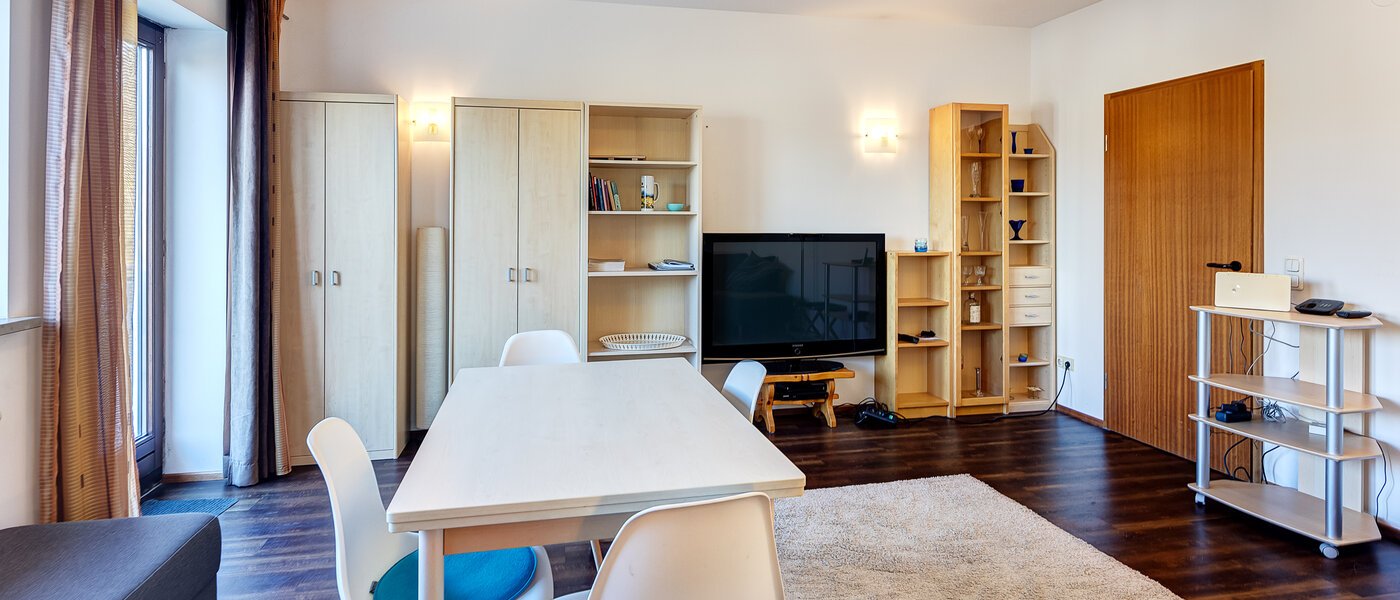 apartment München Pasing 03 living room 10073