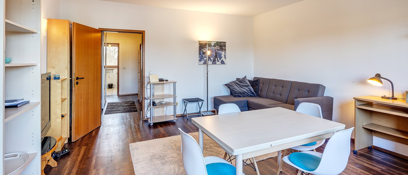 apartment München Pasing 04 living room 10073