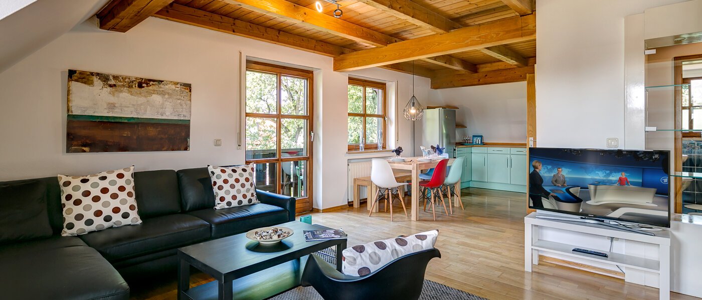 attic apartment München Obermenzing 02 living room 10079