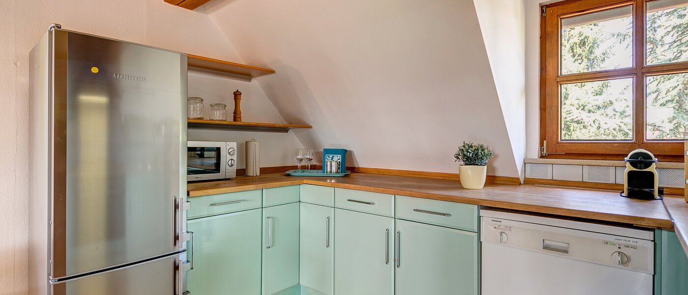 attic apartment München Obermenzing 03 kitchen 10079