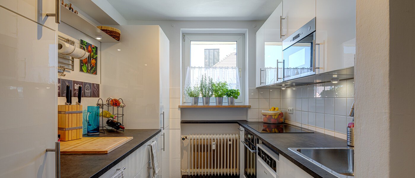 apartment München Lehel 01 kitchen 10088