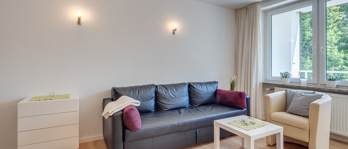 apartment München Haidhausen 02 living area 10089