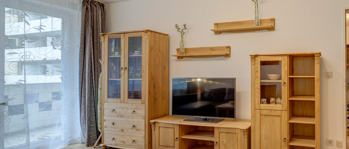 apartment München Ludwigsvorstadt 02 living room 10097