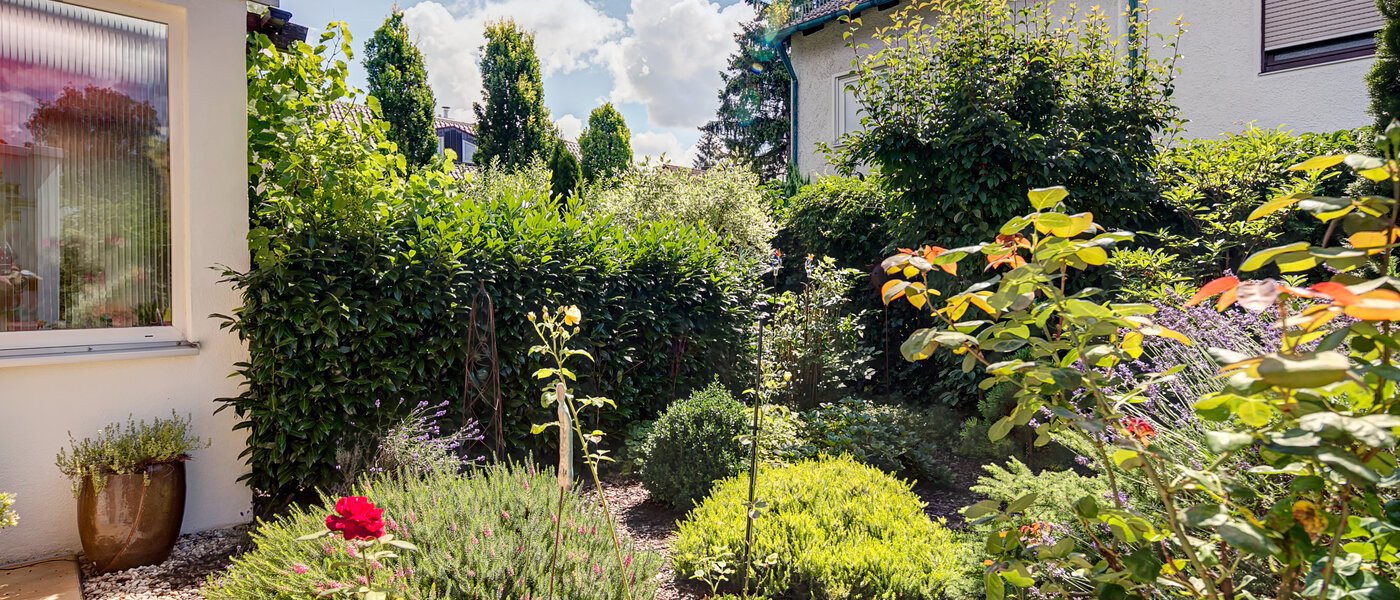 townhouse München Fasangarten 03 garden 10099