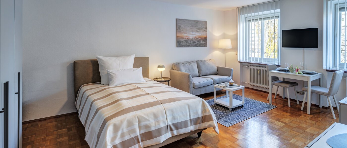 apartment München Obergiesing 01 living area 10117