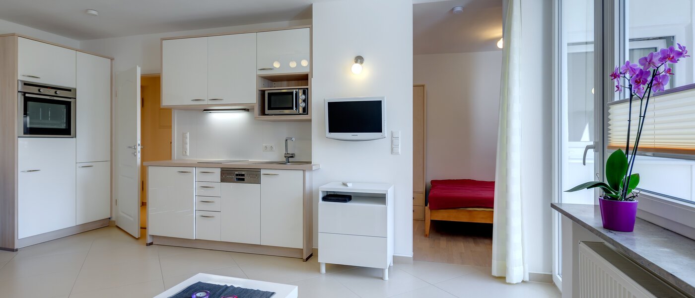 apartment München Haidhausen 03 living room 10123