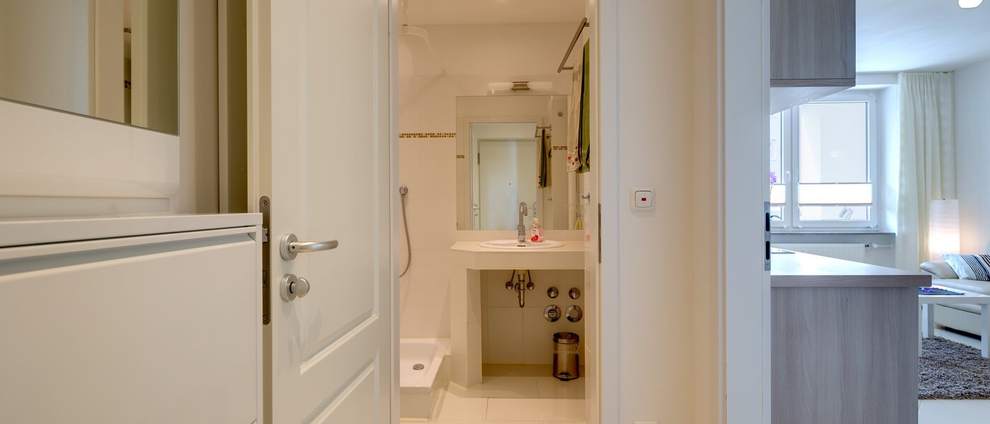 apartment München Haidhausen 02 hall 10123