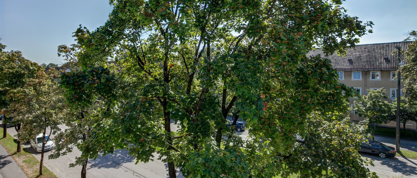 apartment München Westpark 05 view 10184