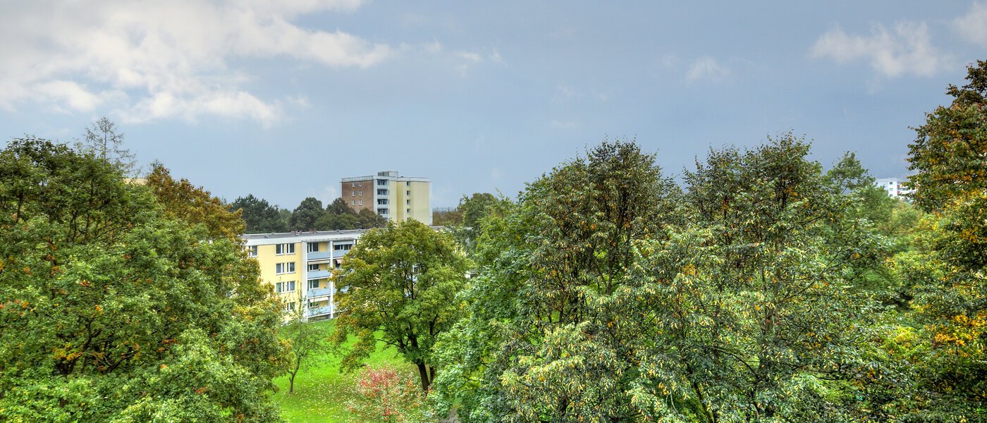apartment München Englschalking 01 view 10225
