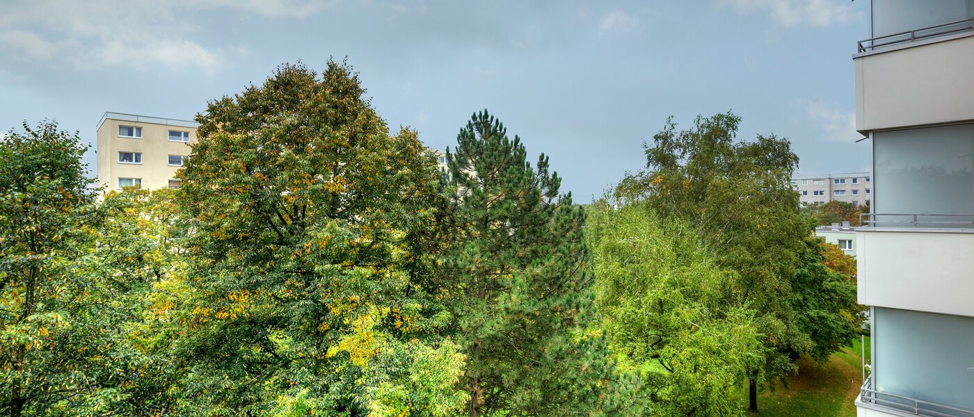 apartment München Englschalking 02 view 10225