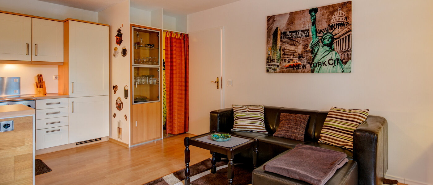 apartment München Untergiesing 04 living room 10228