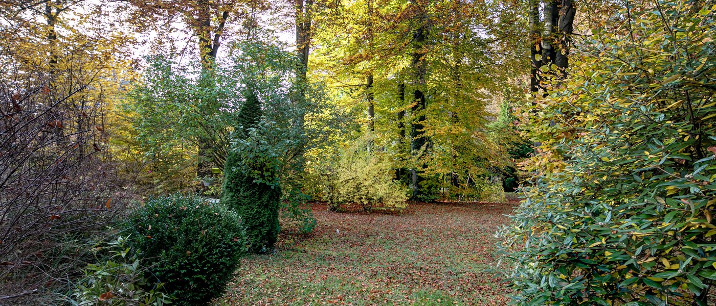 apartment München Harlaching 01 garden 10257