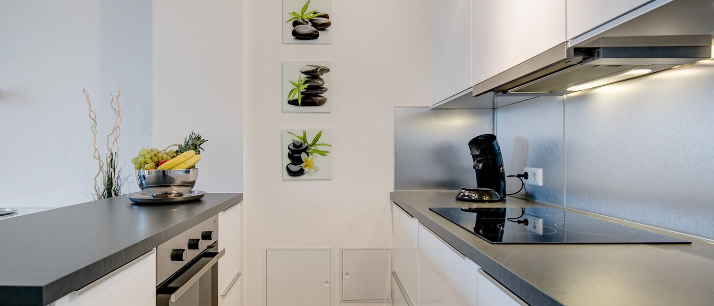 apartment München Ludwigsvorstadt 01 kitchen 10286