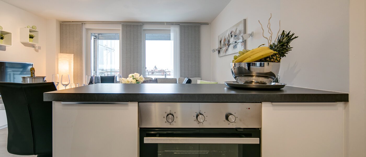 apartment München Ludwigsvorstadt 04 kitchen 10286