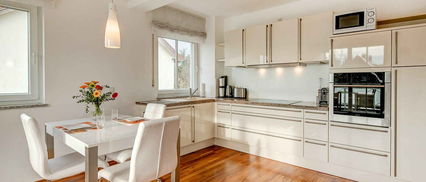 apartment München Obermenzing 03 living room 10294