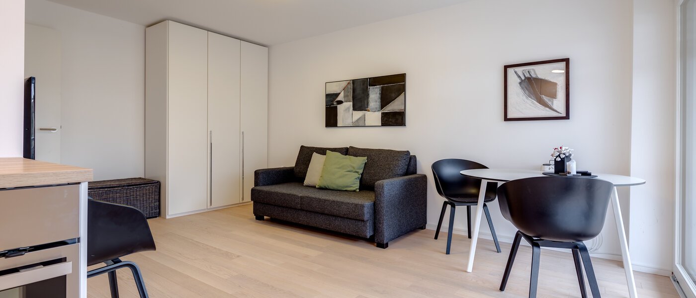 apartment München Nymphenburg 04 living room 10315