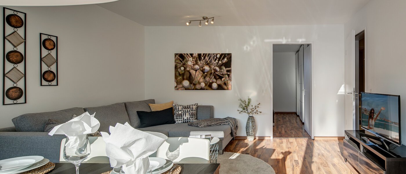 apartment München Oberföhring 05 living room 10330