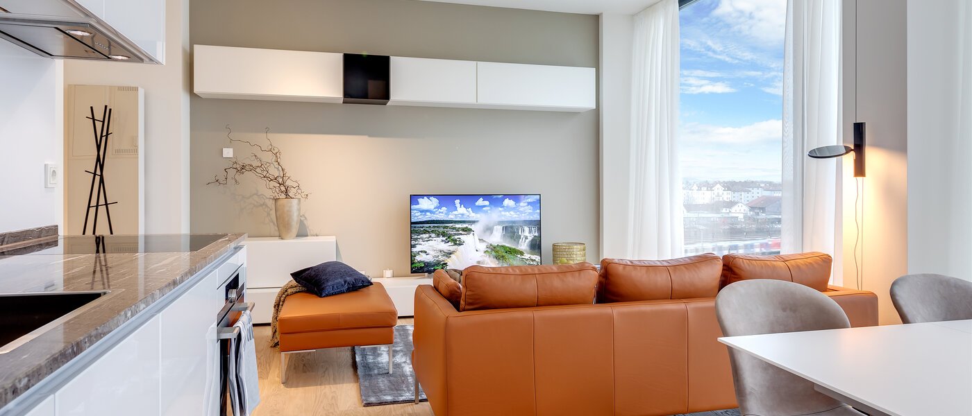 apartment München Nymphenburg 06 living room 10338