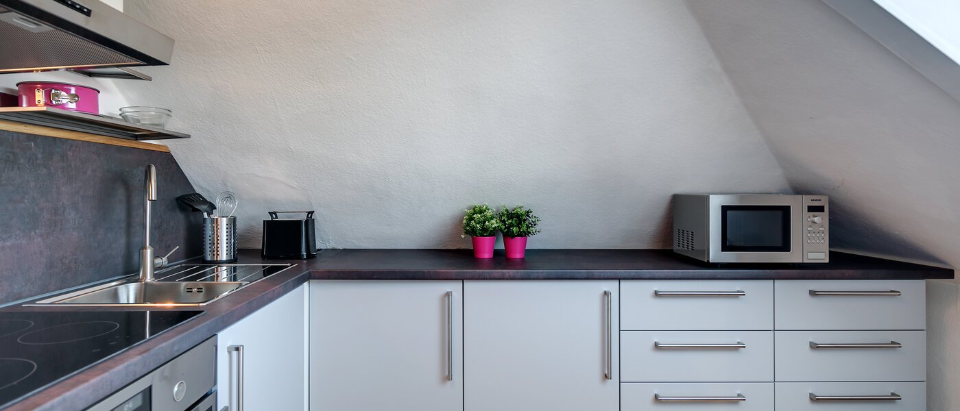 attic apartment München Maxvorstadt - Rund um den Josephplatz 02 kitchen 10347