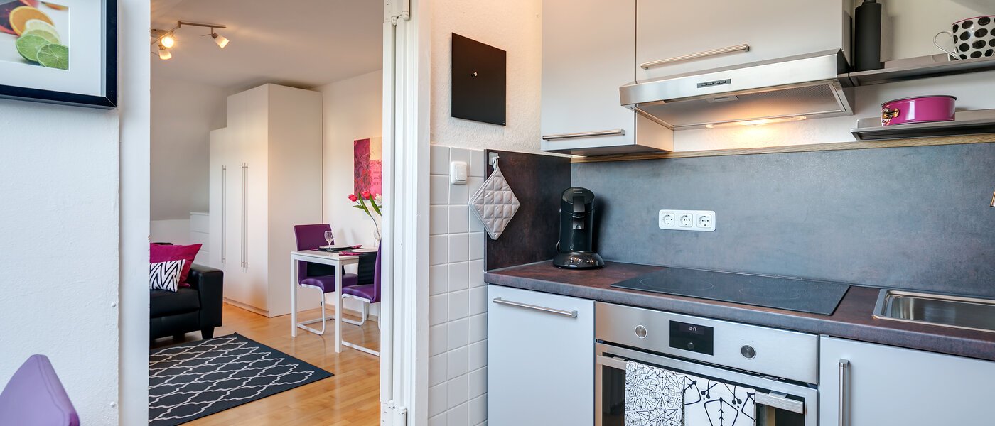 attic apartment München Maxvorstadt - Rund um den Josephplatz 04 kitchen 10347