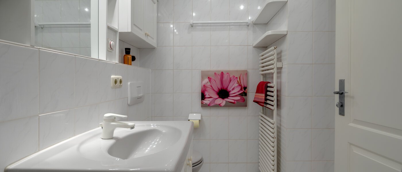 gallery apartment  München Fasangarten 03 bathroom 10367