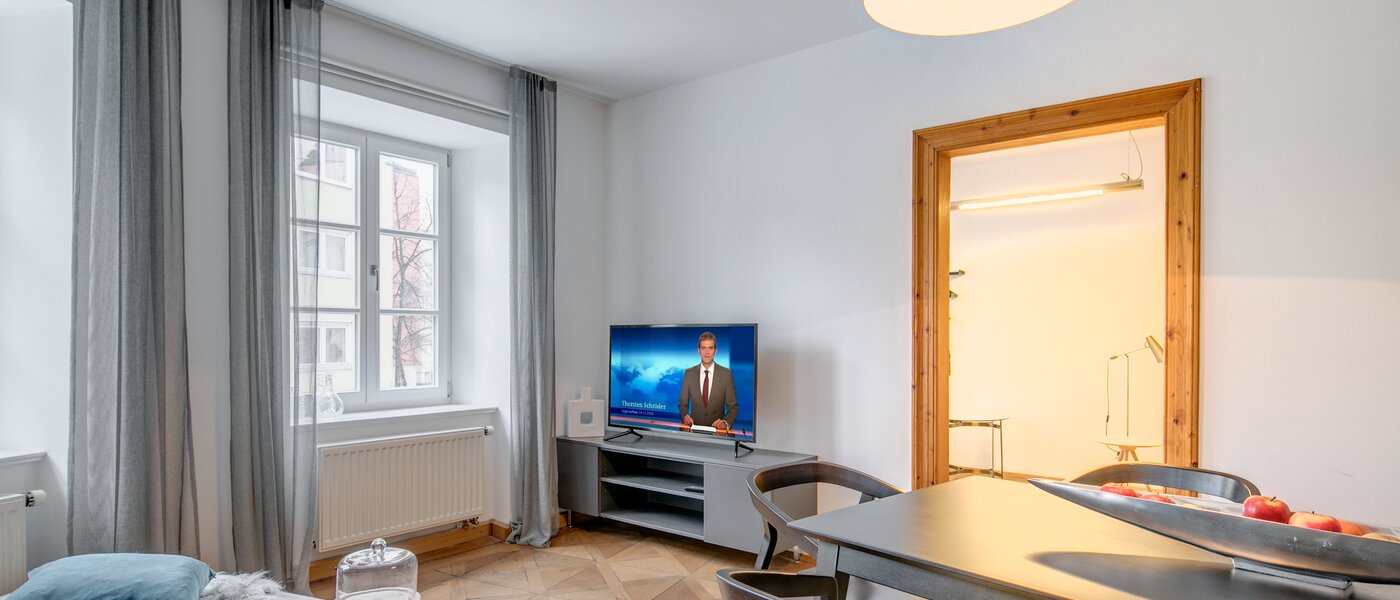 apartment München Lehel 04 living room 10369