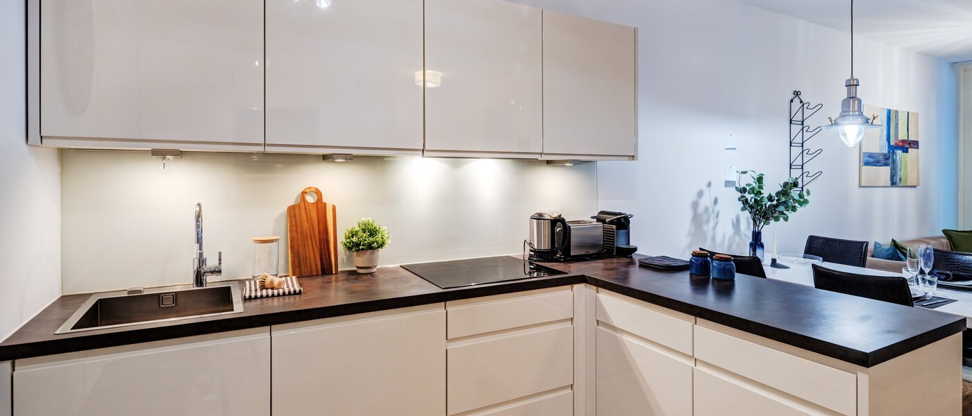 apartment München Maxvorstadt - Westen 01 kitchen 10381