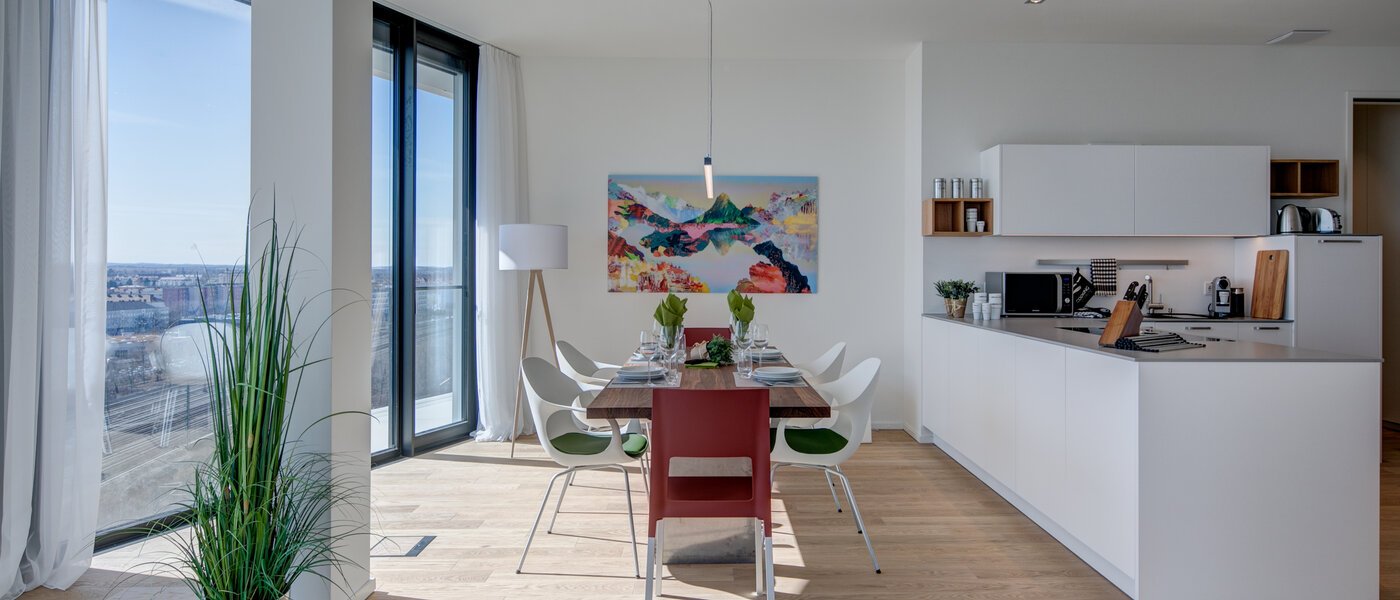 apartment München Nymphenburg 06 living room 10451