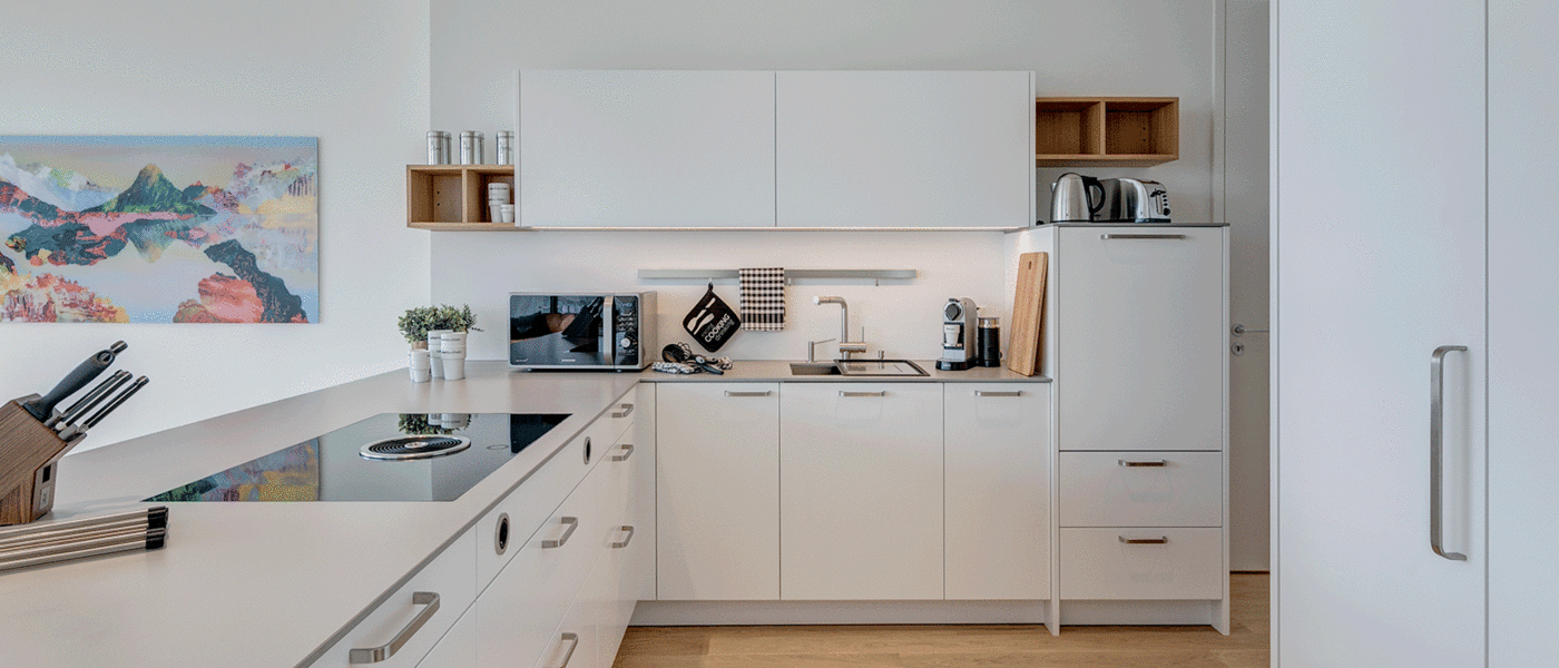 apartment München Nymphenburg 01 kitchen 10451