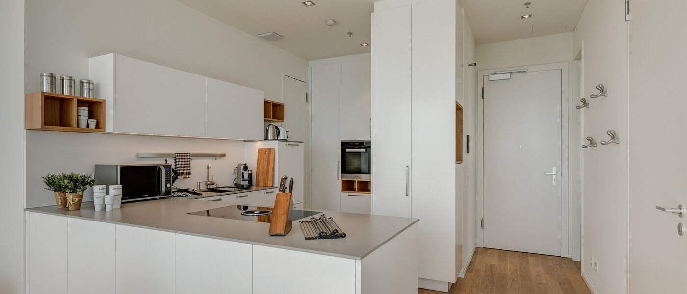 apartment München Nymphenburg 04 kitchen 10451