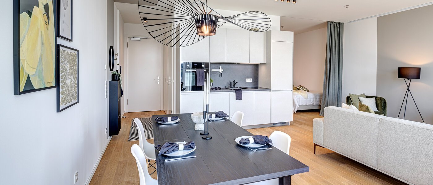 apartment München Nymphenburg 05 living area 10455