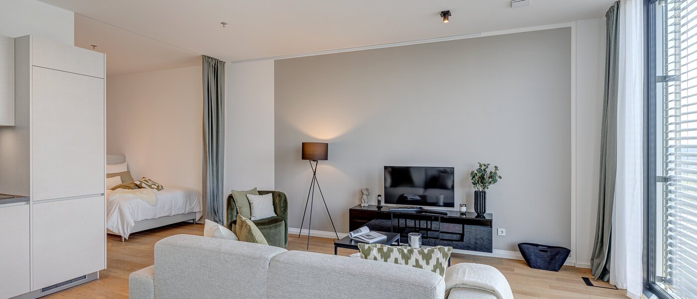 apartment München Nymphenburg 07 living area 10455