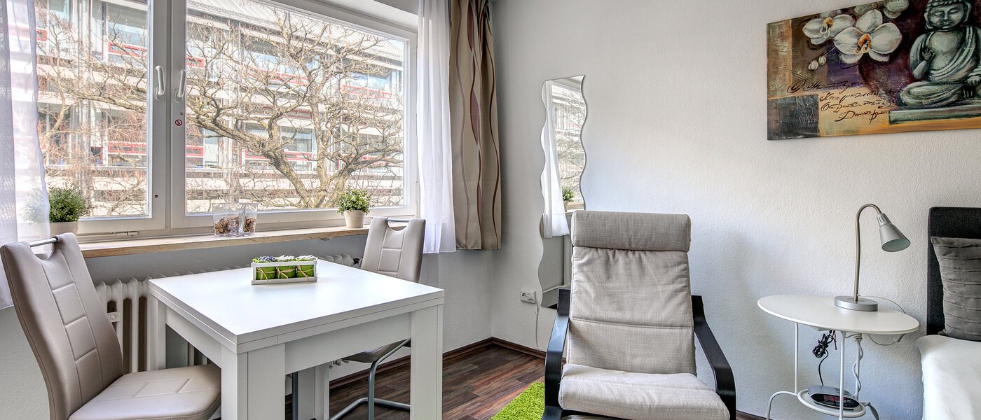 apartment München Berg am Laim 02 living room 10494