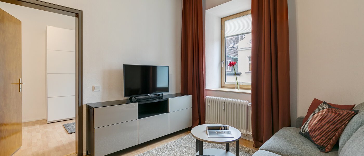 apartment München Au 03 living room 10495