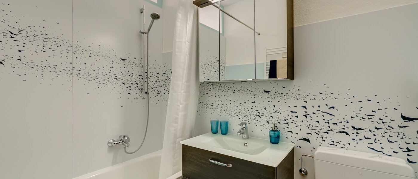 apartment München Au 01 bathroom 10495