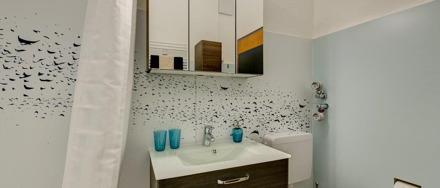 apartment München Au 03 bathroom 10495