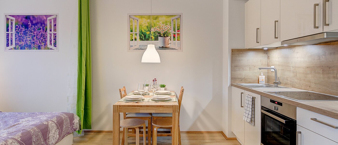 apartment München Aubing 03 living room 10515