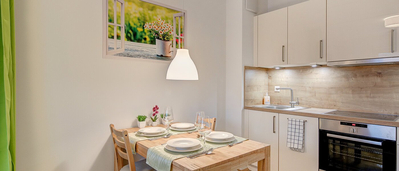 apartment München Aubing 04 living room 10515